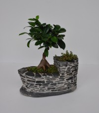 Boat Island I