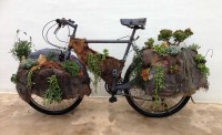 Traveling Garden I