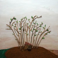 Bosque de Anna