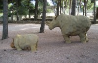 Mamá rino y rino baby