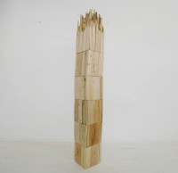 Árbol reconstruido I