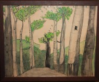 Bosque de baobabs