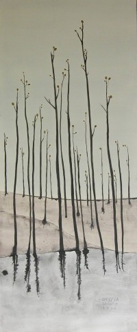 Bosque que rebrota I