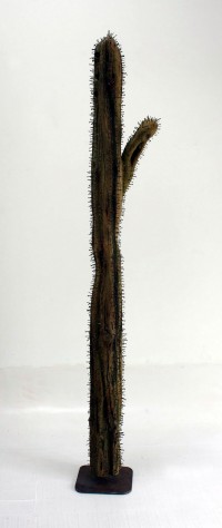 Cactus de clavos