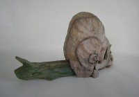 Caracol invertido