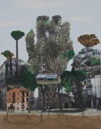 Ciudad enraizada I