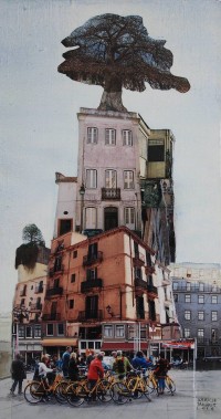 Plaza del árbol II