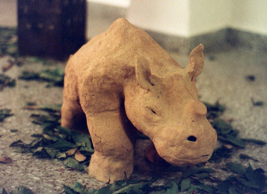 Rinocero 1